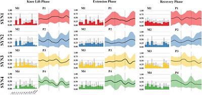 Neuromuscular synergy characteristics of Tai Chi leg stirrup movements: optimal coordination patterns throughout various phases